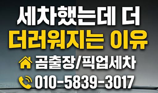 바쁜 직장인을 위한 안양출장세차 및 곰출장 픽업세차 디테일링 본점 활용 가이드