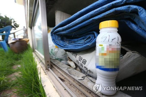 작은세상일기 양주 소식 이야기