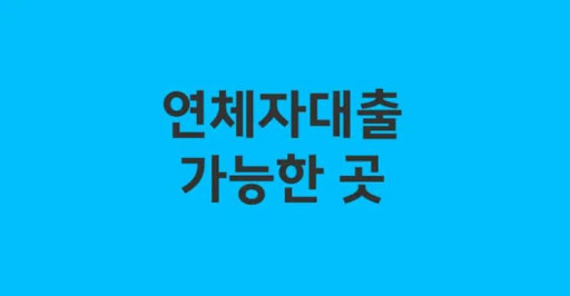 연체자대출 상환 능력 평가 요소