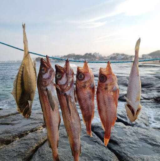 반건조생선으로 만드는 특별한 요리, 속초사이버장터에서