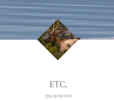 태상의 미니샵이 프리라이프 정보를 제공하는 방식의 차별점